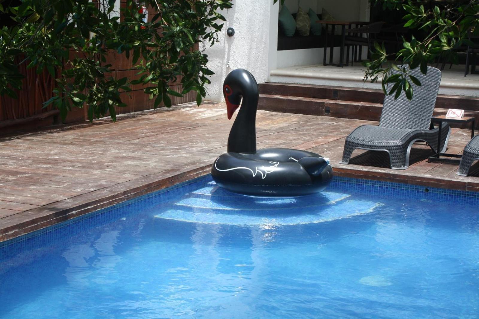Casa Hx - Adults Only 4* Ilha Holbox